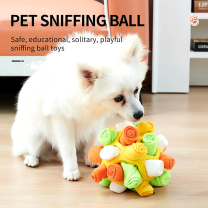 Interactive Training Pet Toys